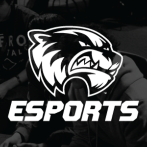 UVU Esports
